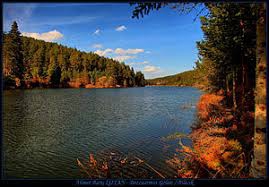 Göynük Bozcaarmut Köyü Resimleri 3