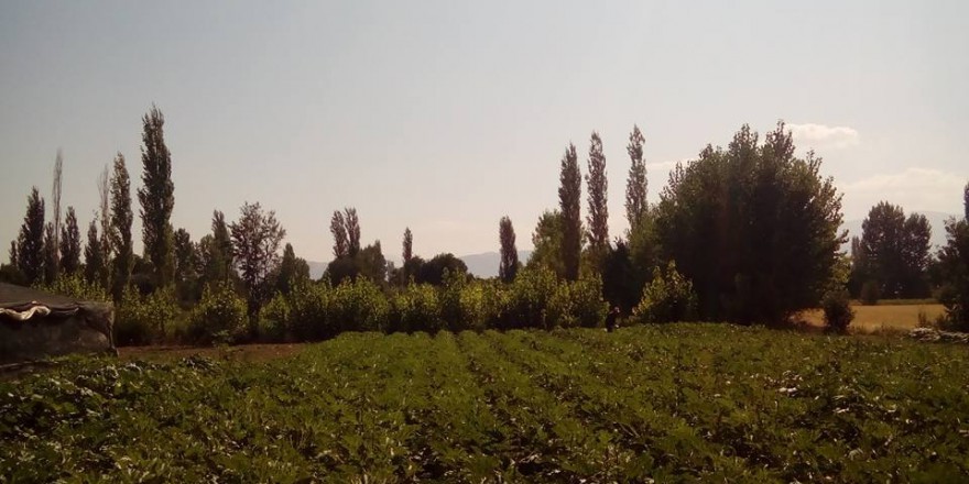 Antalya Elmalı Akçaeniş Köyü Resimleri