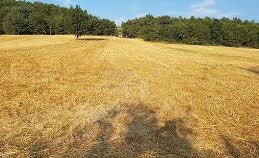 Göynük Değirmenözü Köyü Resimleri 3