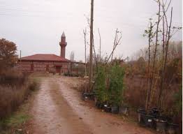 Göynük Demirhanlar Köyü Resimleri 3