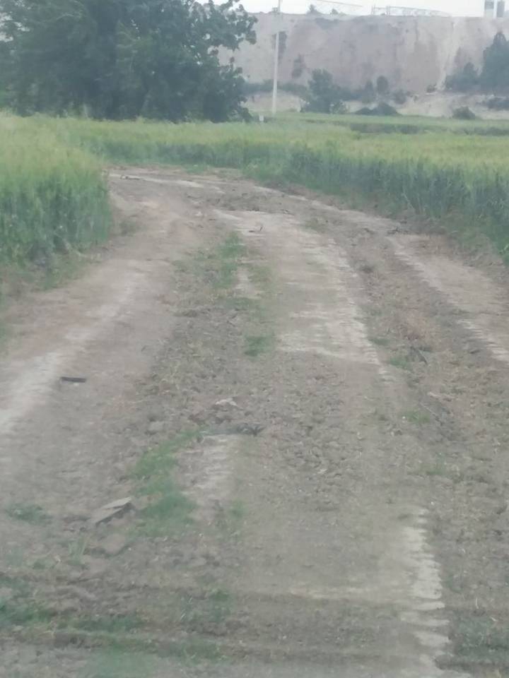 Soma Türkali Köyü Resimleri 3