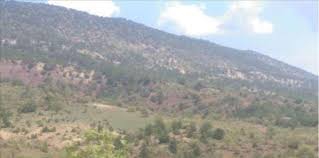 Göynük Güneyçalıca Köyü Resimleri 7