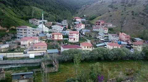 Kelkit  Doğankavak  Köyü Resimleri 1