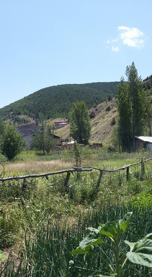 Kelkit  Doğankavak  Köyü Resimleri 5