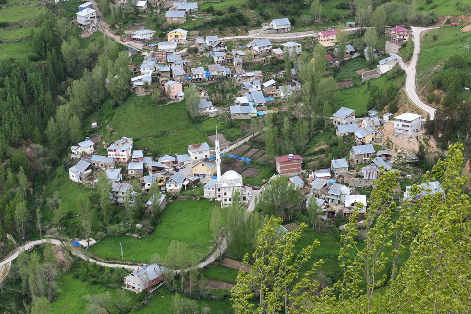 Kelkit  Dölek  Köyü Resimleri 5