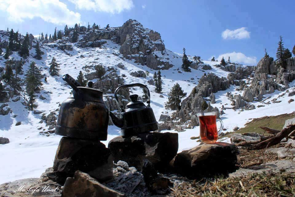 Kelkit  Dölek  Köyü Resimleri 6