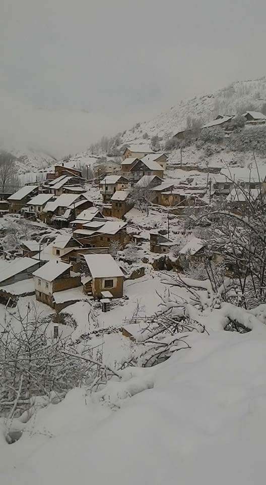 Kelkit  Dölek  Köyü Resimleri 7