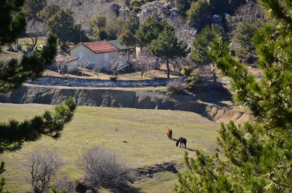 Şehzadeler Adnan Menderes Köyü Resimleri 1