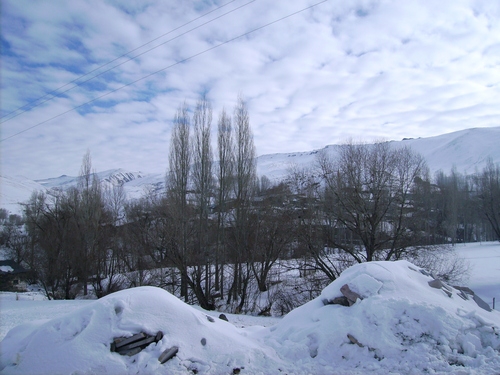 Yakutiye Söğütyanı Köyü Resimleri 5