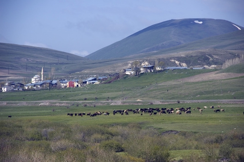 Yakutiye Söğütyanı Köyü Resimleri 8