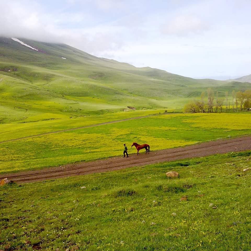 Yakutiye Şenyurt Köyü Resimleri 2