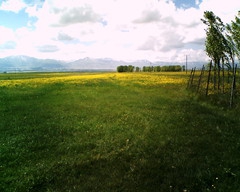 Yakutiye Yeşilyayla Köyü Resimleri 2