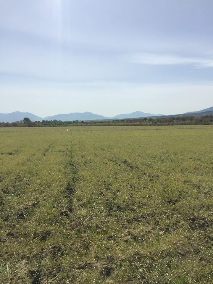 Şehzadeler Ahmet Bedevi Köyü Resimleri 3