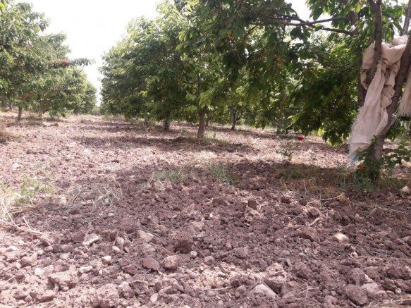 Şehzadeler Arda Köyü Resimleri 1