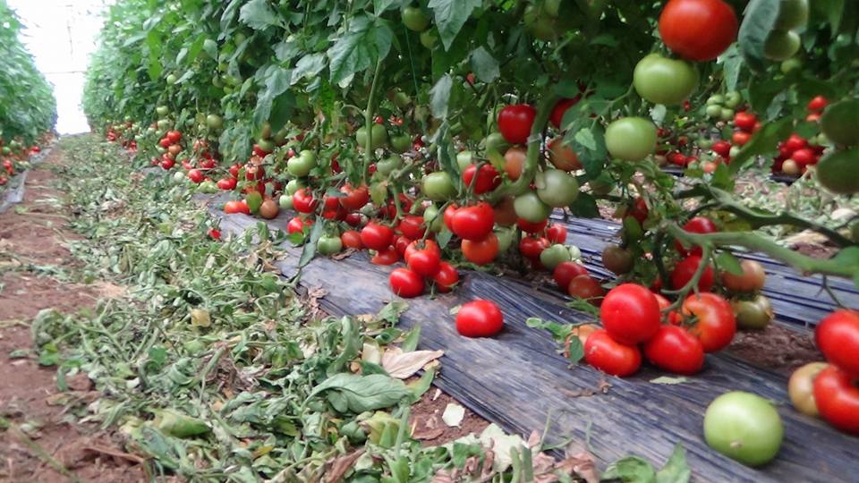 Antalya Elmalı Eskihisar Köyü Resimleri 12