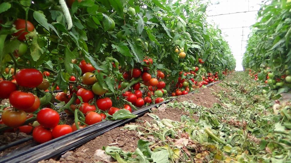 Antalya Elmalı Eskihisar Köyü Resimleri 13