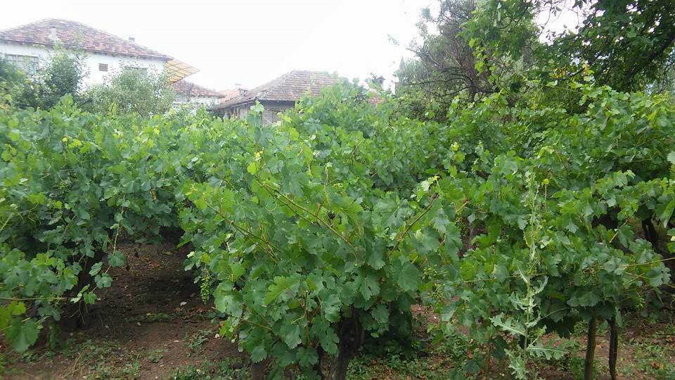 Antalya Elmalı Eskihisar Köyü Resimleri 20