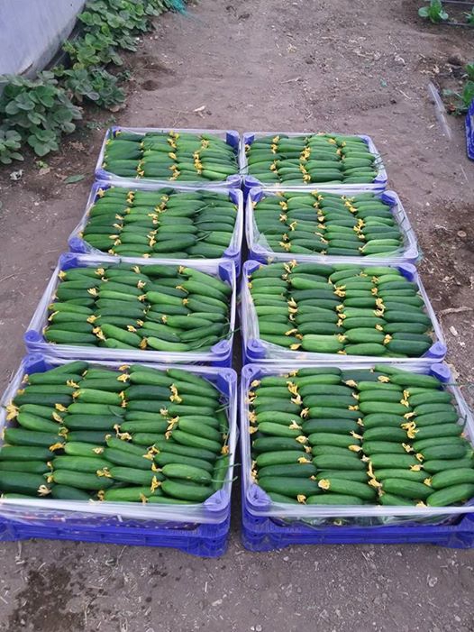 Antalya Elmalı Eskihisar Köyü Resimleri 9