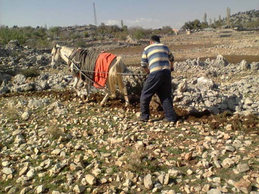 Adana Aladağ Kızıldam Köyü Resimleri 5
