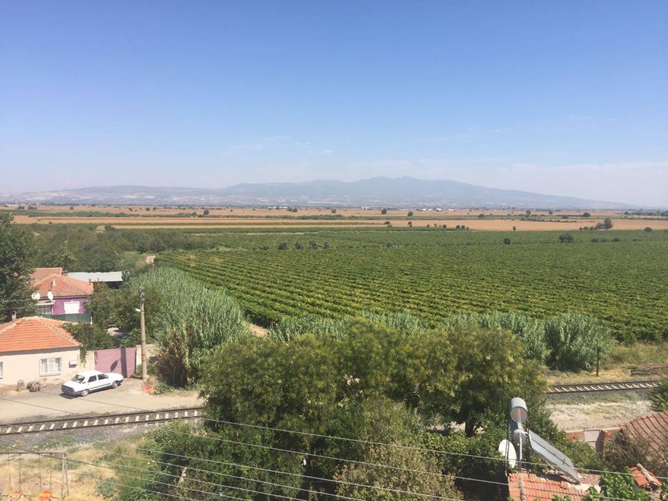 Şehzadeler Aşağıçobanisa Köyü  Resimleri 2