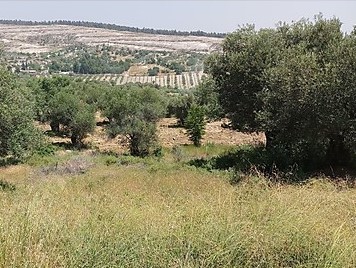 Şehzadeler Belenyenice Köyü Resimleri 1