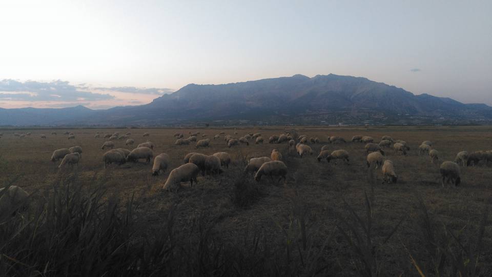Antalya Elmalı Eymir Köyü Resimleri 6