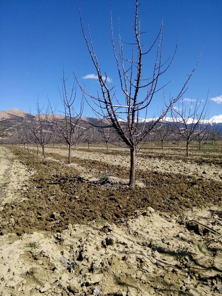 Antalya Elmalı Eymir Köyü Resimleri 7