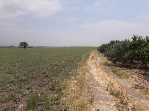 Şehzadeler Dilşeker Köyü Resimleri 1