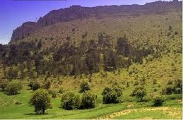 Göynük Sarılar Köyü Resimleri 5