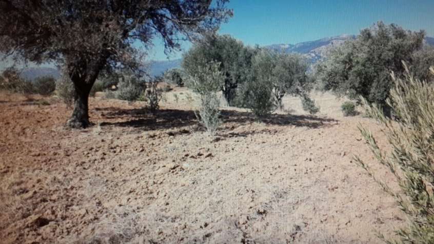 Şehzadeler Göktaşlı Köyü Resimleri 1