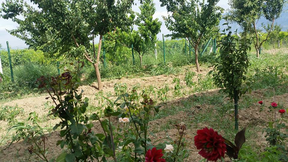 Şehzadeler Güzelköy Köyü Resimleri 2