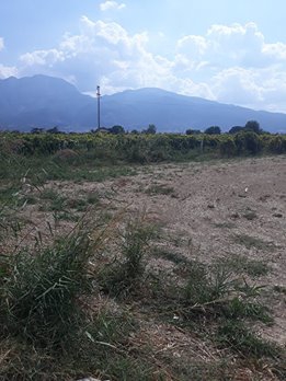 Şehzadeler Güzelköy Köyü Resimleri 3