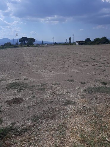 Şehzadeler Güzelköy Köyü Resimleri 5