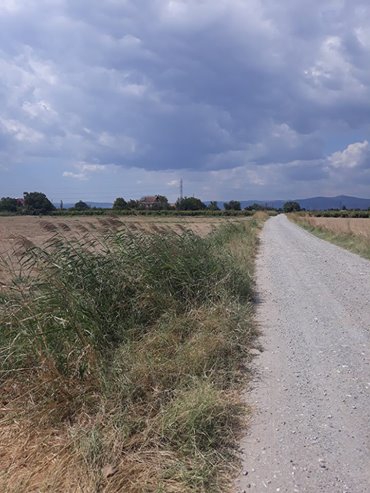 Şehzadeler Güzelköy Köyü Resimleri 6