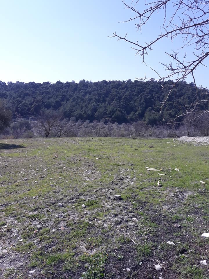 Şehzadeler Kalemli Köyü Resimleri 11