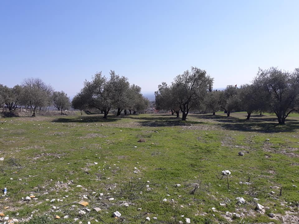 Şehzadeler Kalemli Köyü Resimleri 5