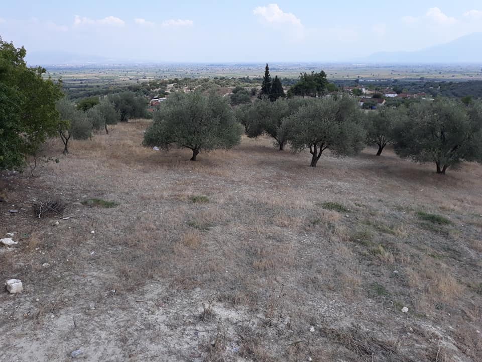 Şehzadeler Kalemli Köyü Resimleri 6