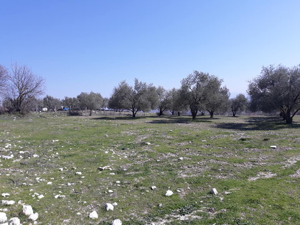 Şehzadeler Kalemli Köyü Resimleri 7