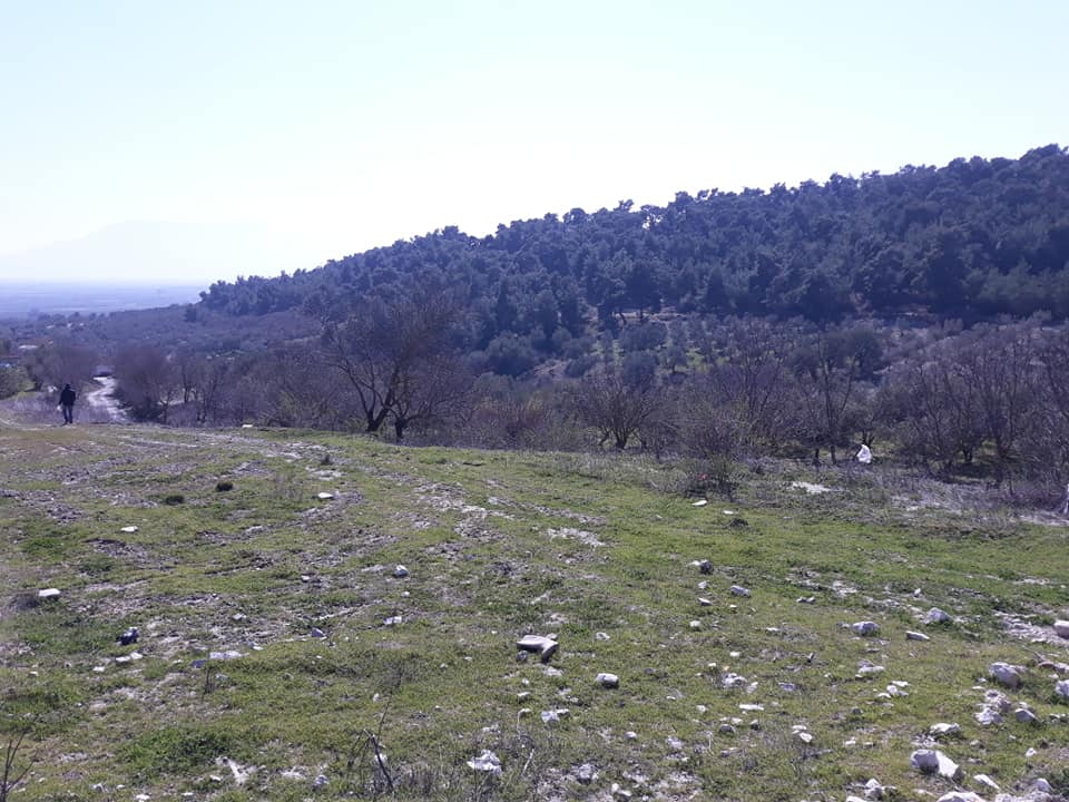 Şehzadeler Kalemli Köyü Resimleri 9