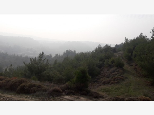 Şehzadeler Nişancıpaşa Köyü Resimleri 1