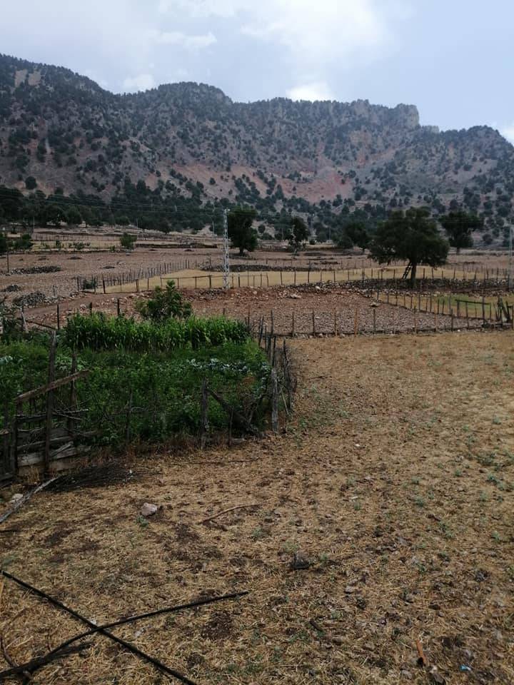 Adana Aladağ Kışlak Köyü Resimleri 12