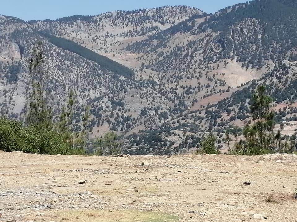 Adana Aladağ Kışlak Köyü Resimleri 13