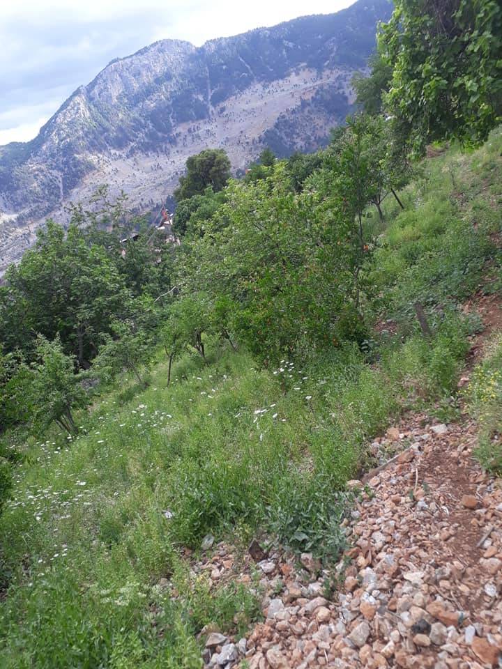 Adana Aladağ Kışlak Köyü Resimleri 27