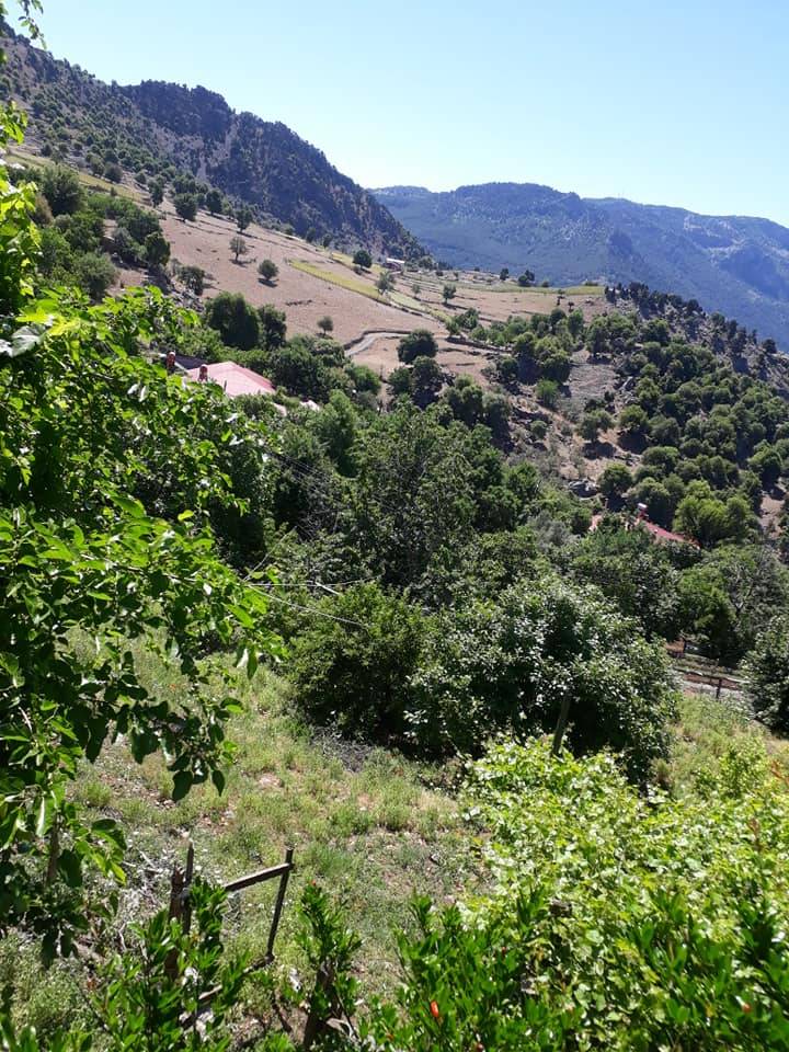 Adana Aladağ Kışlak Köyü Resimleri 29