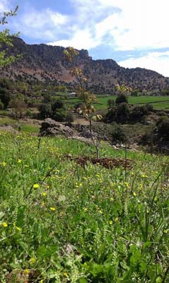 Adana Aladağ Kışlak Köyü Resimleri 3