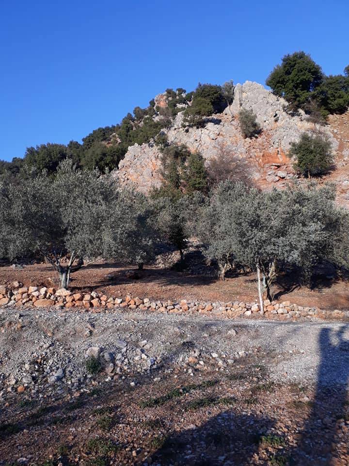 Adana Aladağ Kışlak Köyü Resimleri 30