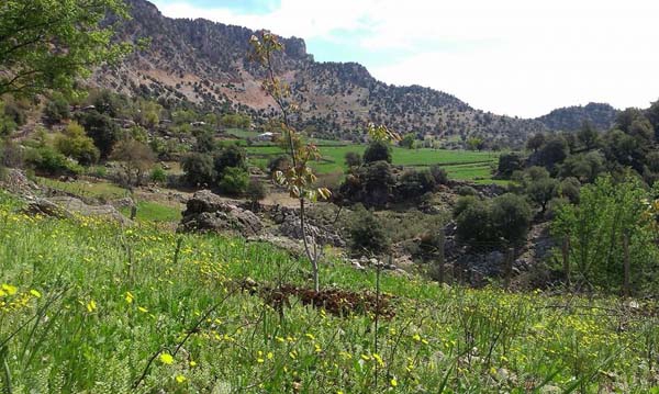 Adana Aladağ Kışlak Köyü Resimleri 5