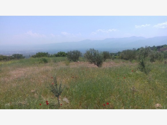 Şehzadeler Şancaklıiğdecik Köyü Resimleri 1