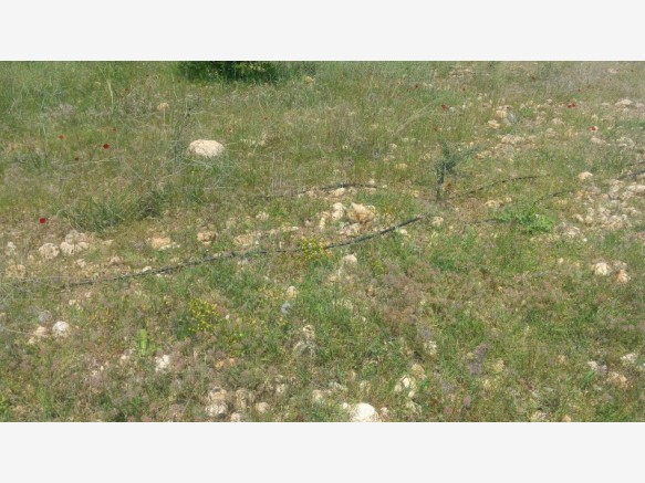 Şehzadeler Şancaklıiğdecik Köyü Resimleri 3