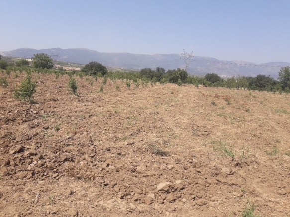 Şehzadeler Şancaklıiğdecik Köyü Resimleri 4